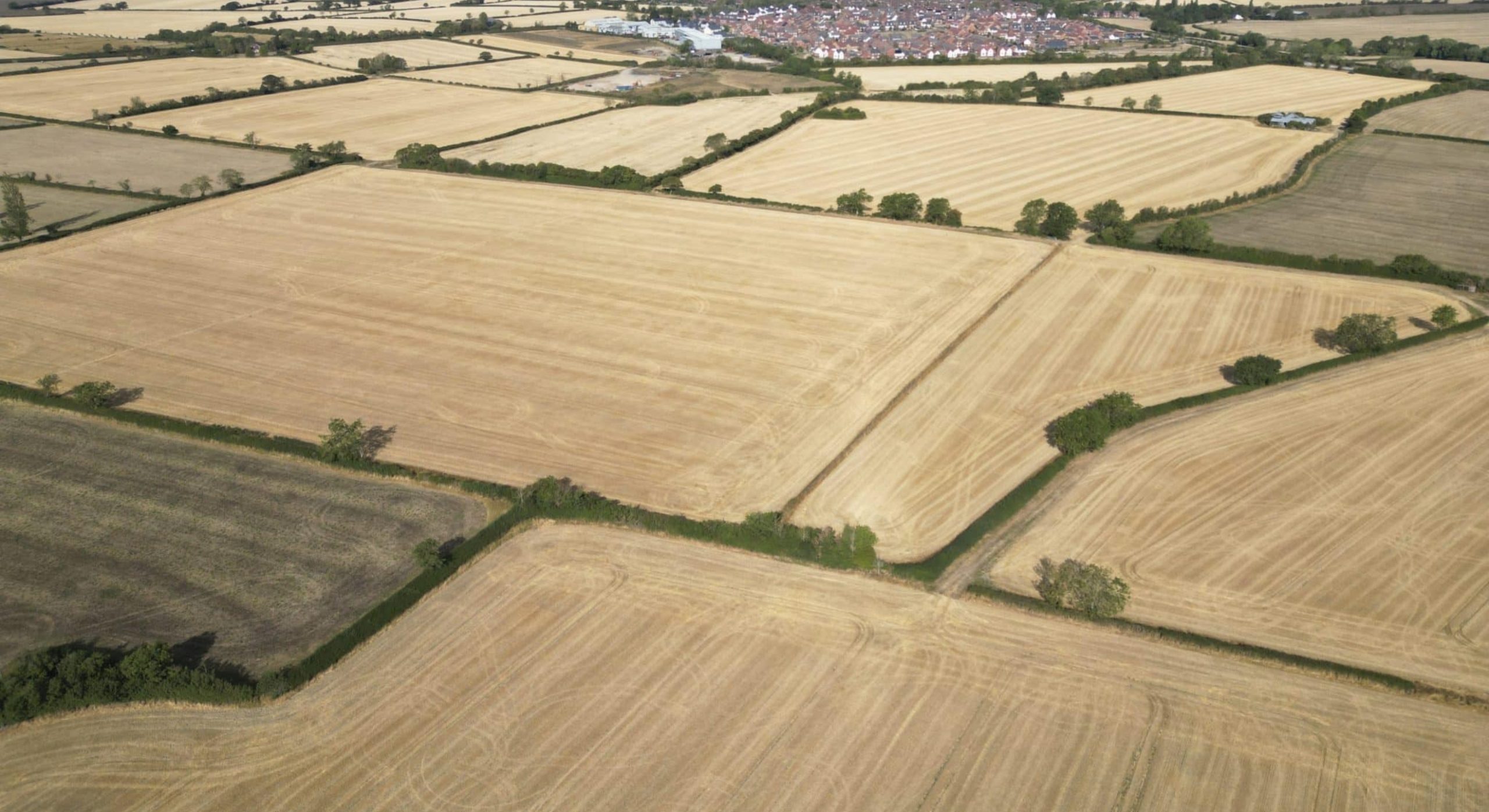 Responding to Change: The Growing Demand for Flexible Farming Agreements