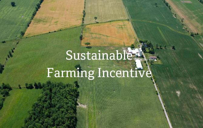 Sustainable Farming Incentive Update 2024