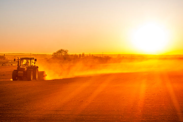 Rural and Farm Landscape
