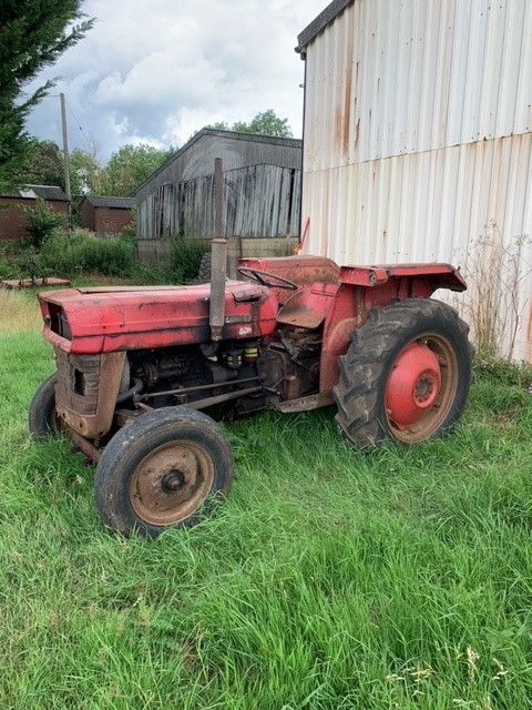 FARM SALES – COLLECTIVE AUCTION REPORT