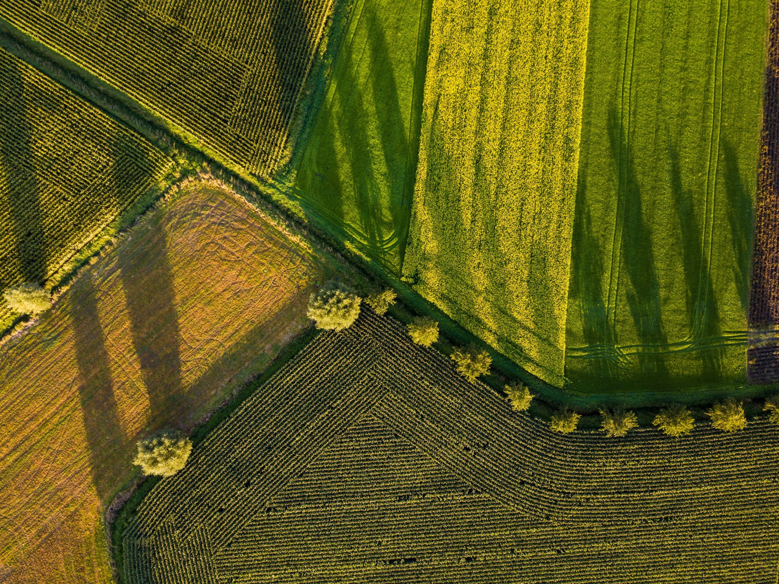 Navigating England’s Agricultural Transition Plan Update: A Comprehensive Overview