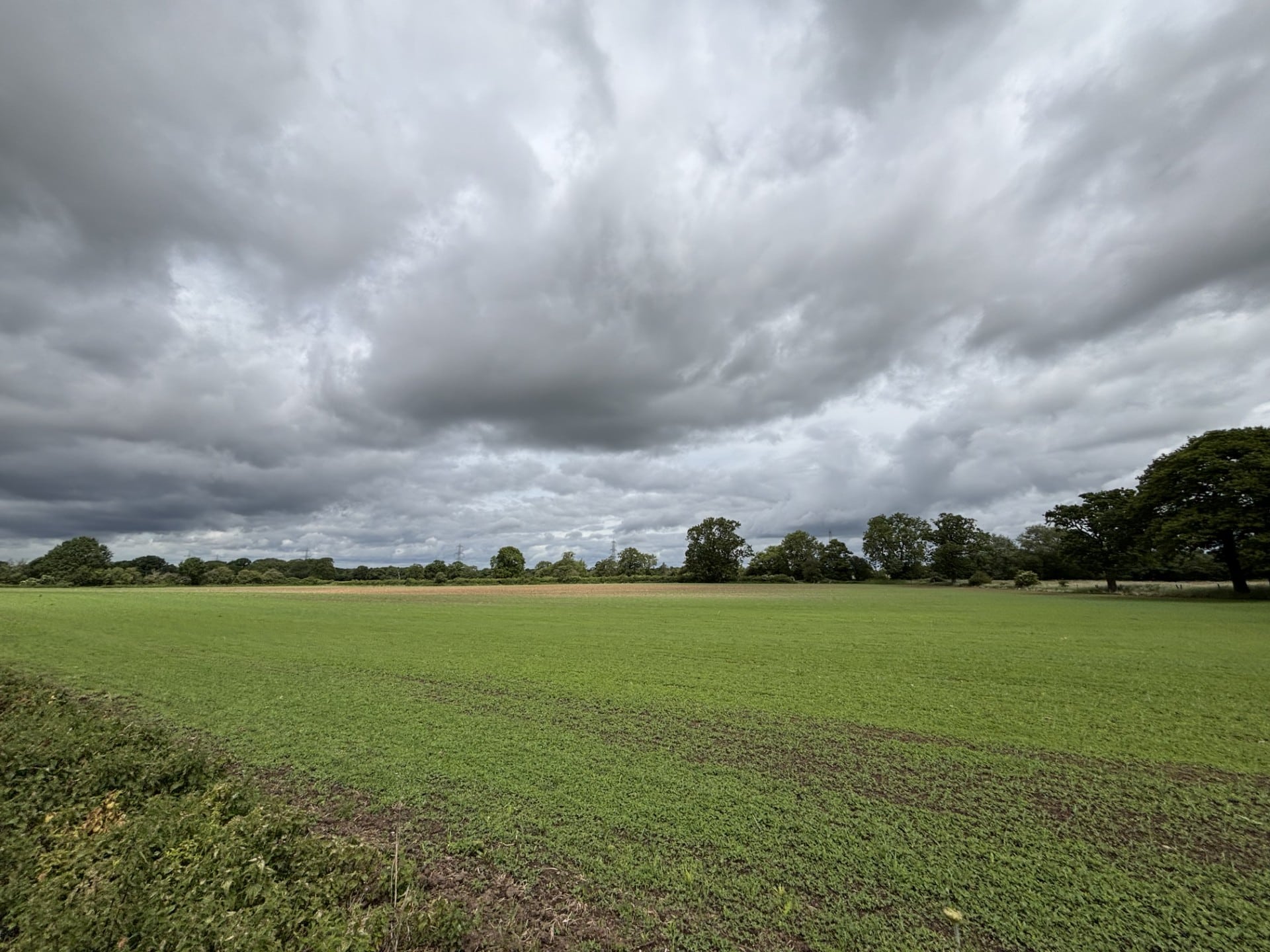 Land at Dumble Farm, Coleshill – To Let by Informal Tender
