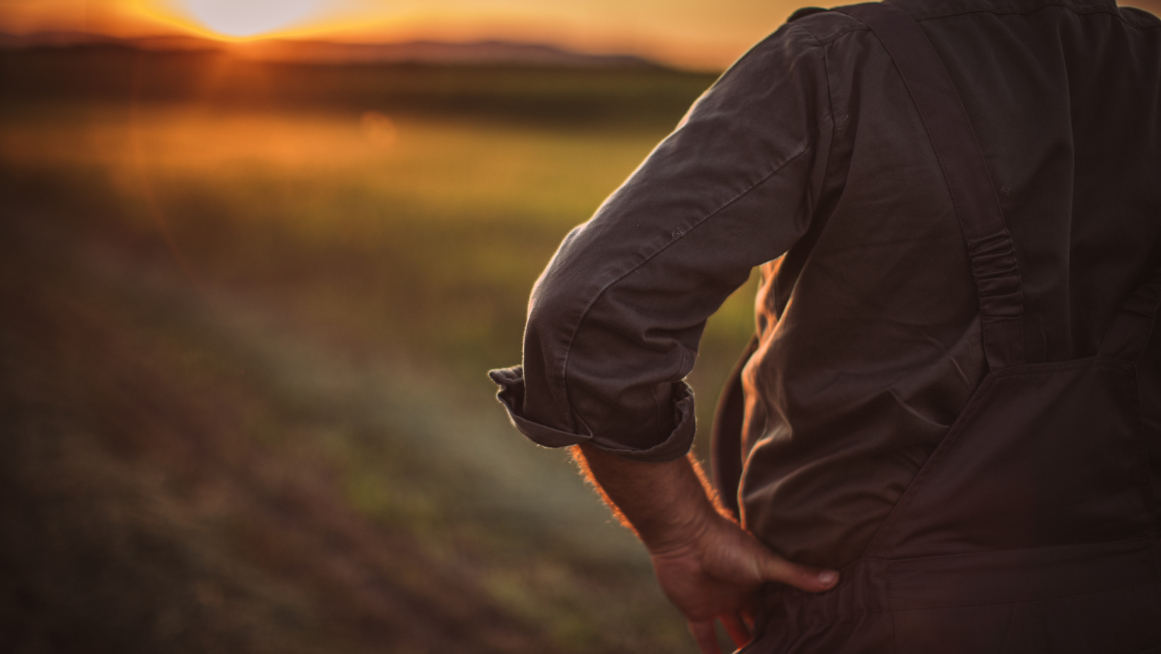 Why the Universal Credit System Isn’t Working for Farmers